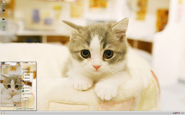  �ɾ��ɰ���Сè��Win8����