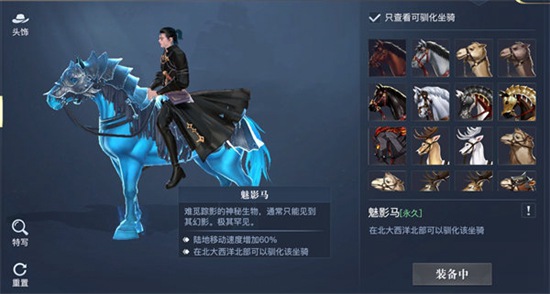 黎明之海坐骑怎么获取-黎明之海坐骑获取方法