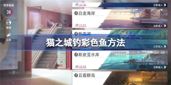 猫之城彩色鱼如何钓-猫之城钓彩色鱼攻略