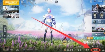 和平精英捏脸代码怎么输入-和平精英捏脸代码的方法