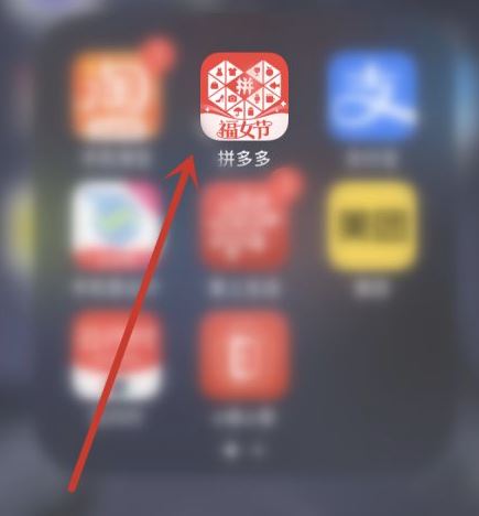 拼多多怎么查看消费总额-拼多多查看消费总额的方法