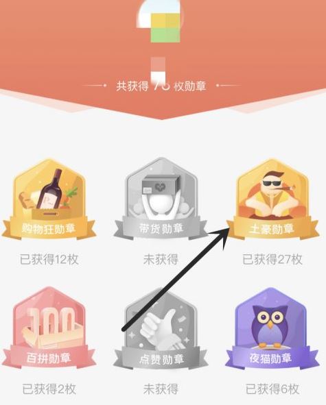 拼多多怎么查看消费总额-拼多多查看消费总额的方法