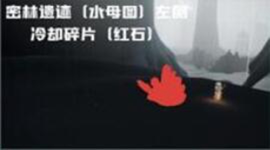 光遇破晓季雨林红石位置在哪-光遇破晓季雨林红石位置介绍