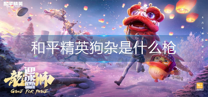 和平精英狗杂是什么枪-狗杂枪支介绍