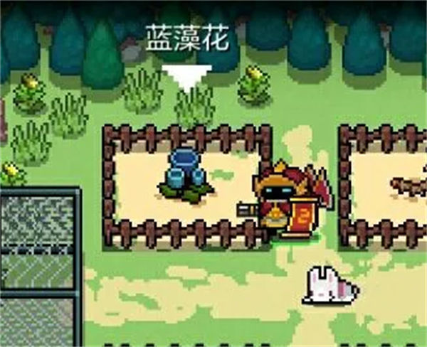 元气骑士植物怎么快速成熟-元气骑士植物快速成熟方法一览