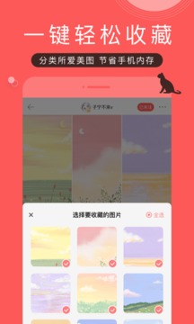 堆糖app下载安装破解版