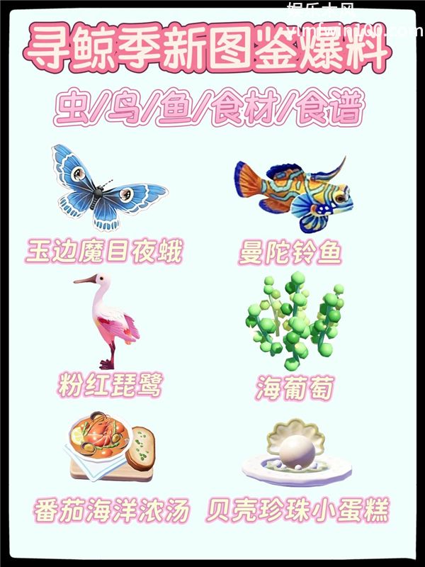心动小镇寻鲸季部分虫鱼鸟食材食谱图鉴