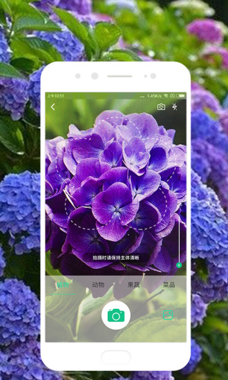 识物app最新版下载安装