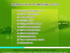 �̲�ϵͳ Ghost XP SP3 װ���Ż��� V2015.01