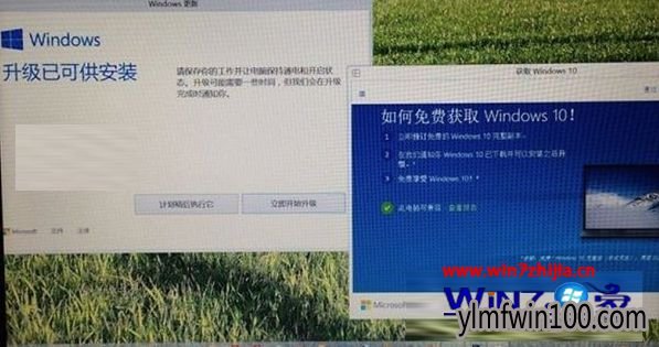 ΢����win10/win8.1ϵͳ�û������������win10��ʽ��ͨ��