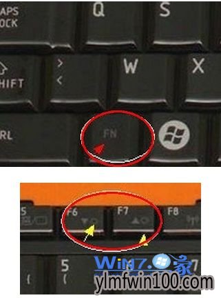 ��ݼ�������Ļ����