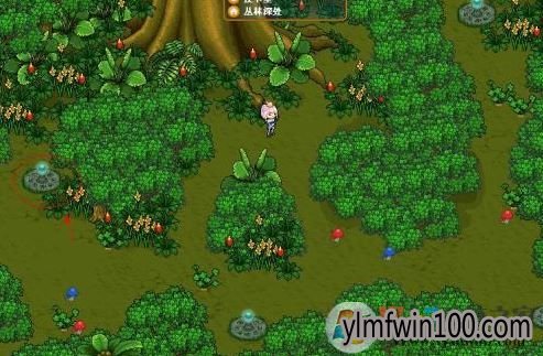 森林地图如何打开?迷失森林地图怎么打开的方法