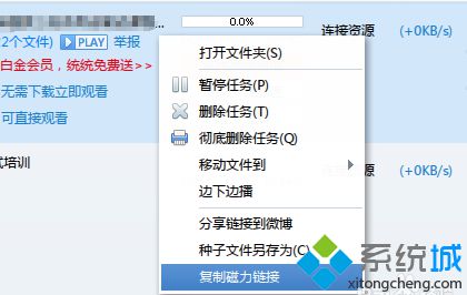 win7系统电脑使用迅雷下载bt文件显示0速度怎么办?