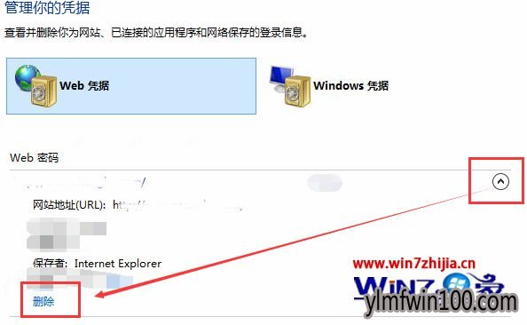 冰封Windows10系统下怎么删除IE浏览器自动保存的密码 冰封Windows10系统下怎么删除IE浏览器自动保存的密码
