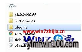 笔记本Win10下谷歌浏览器支付宝无法输入支付登录密码怎么办 笔记本Win10下谷歌浏览器支付宝无法输入支付登录密码怎么办