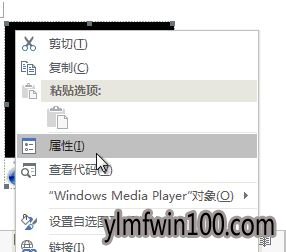 电脑word里视频怎么插入?word如何插入视频的教程 电脑word里视频怎么插入?word如何插入视频的教程