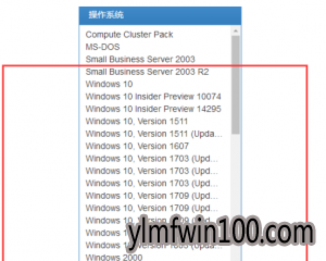 msdn中怎么下载Win10镜像文件的教程4