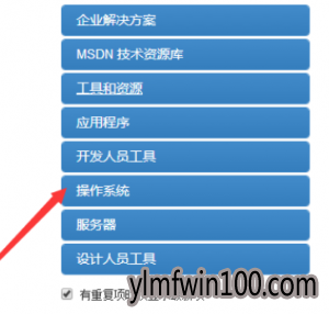 msdn中怎么下载Win10镜像文件的教程3