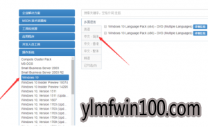msdn中怎么下载Win10镜像文件的教程5