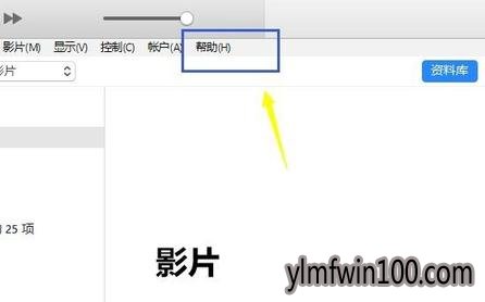 ���ܶ�ȡituneslibrary��ô��