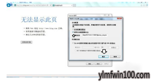 �޷���ʾ��ҳ
