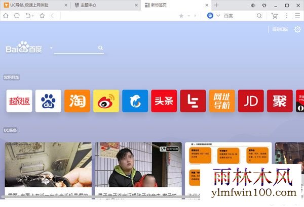 雨林木风浏览器电脑版主题中心截图