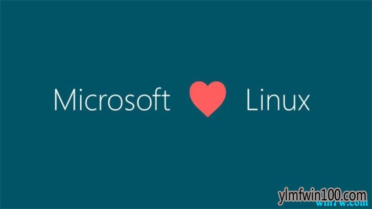微软Windows Terminal和WSL 2都将在6月份发布预览版