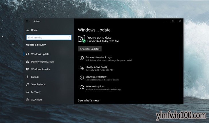 2019 Windows 10更新五月版(版本1903)系统要求