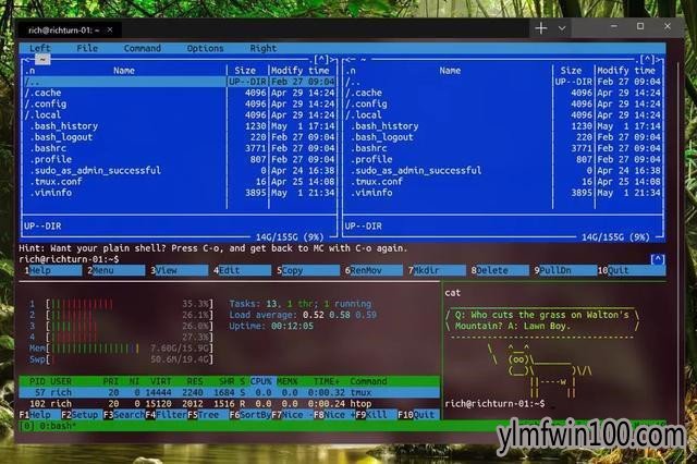 微软推出新款命令行工具Windows Terminal 预计下月面市